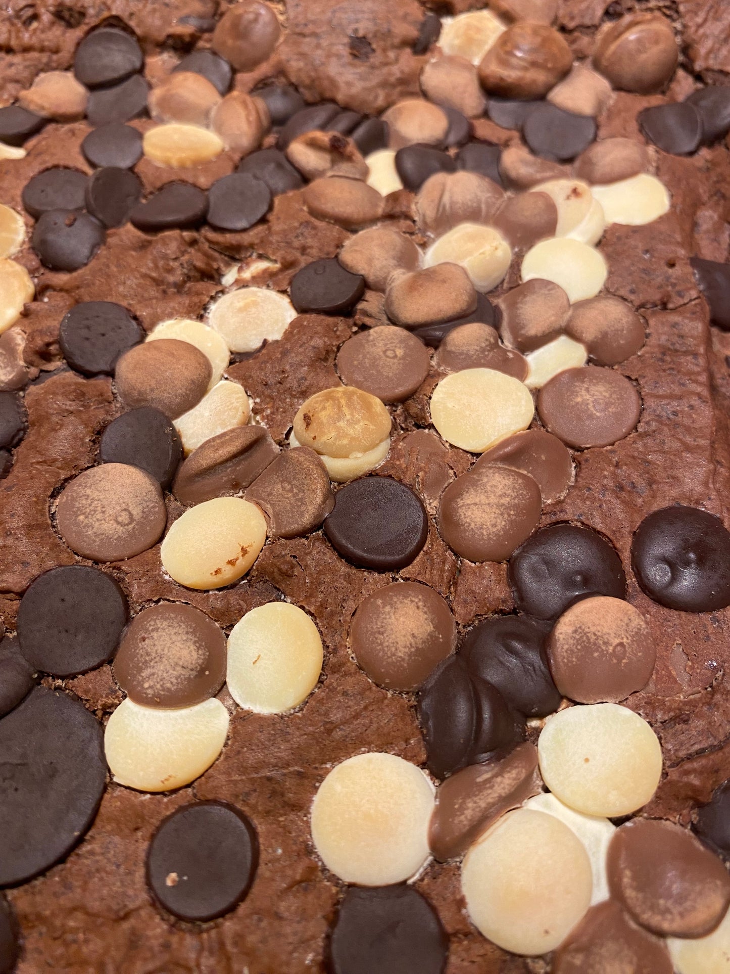 Triple Chocolate Brownie